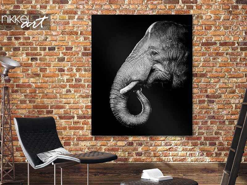 Foto auf gebürstetem Alu-Dibond Afrikanischer Buschelefant