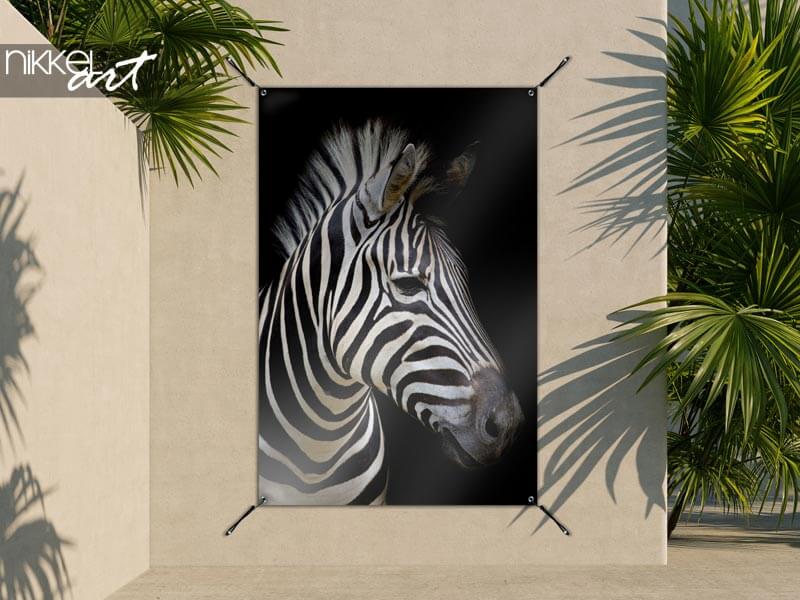 Foto auf Gartenposter Zebra auf dunklem Hintergrund
