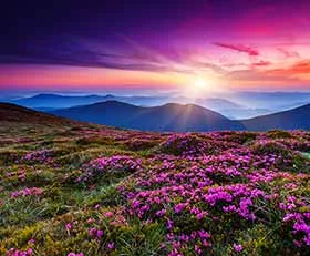 Natur Fototapete - Inspiration