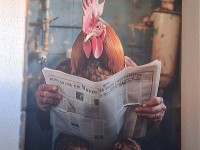 Kluge Henne mit Zeitung